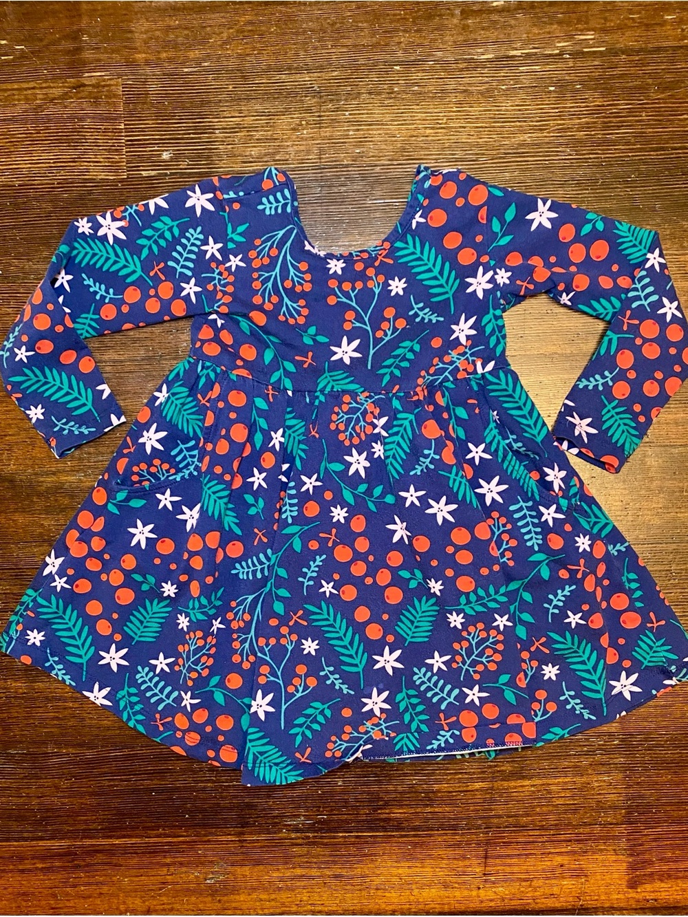 EUC Hanna Andersson Winter Berry Christmas Holiday Long Sleeve Skater Dress